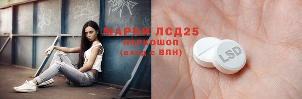 шишки Заводоуковск