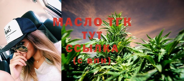 шишки Заводоуковск