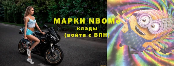 шишки Заводоуковск