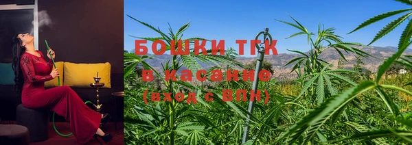 шишки Заводоуковск