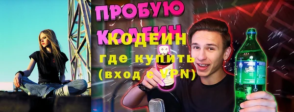шишки Заводоуковск